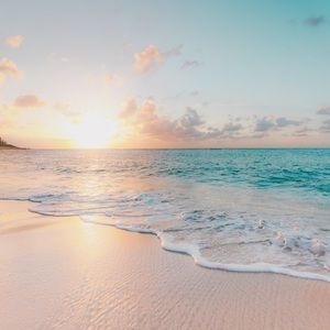 Meet your Posher, Jillian